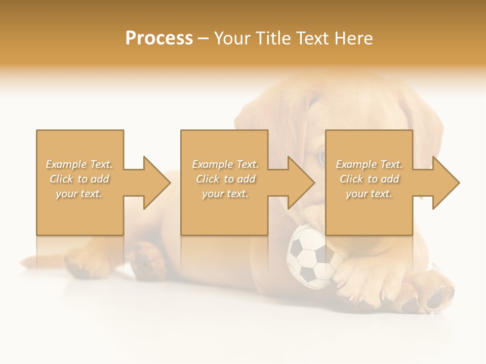 A Puppy Holding A Soccer Ball In His Mouth PowerPoint Template