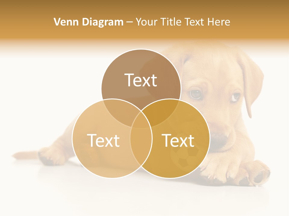 A Puppy Holding A Soccer Ball In His Mouth PowerPoint Template