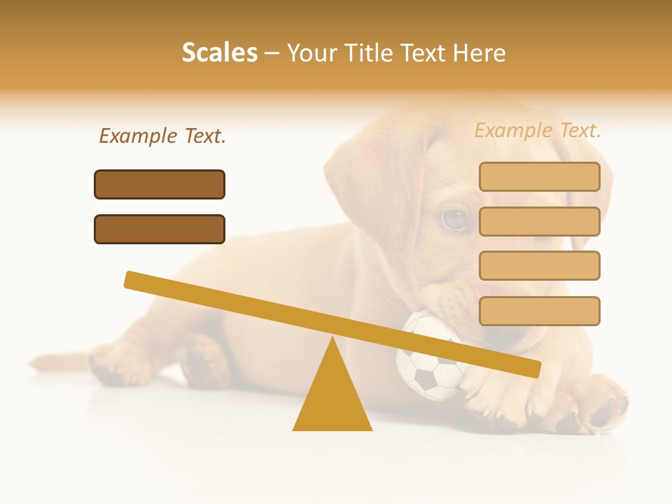 A Puppy Holding A Soccer Ball In His Mouth PowerPoint Template