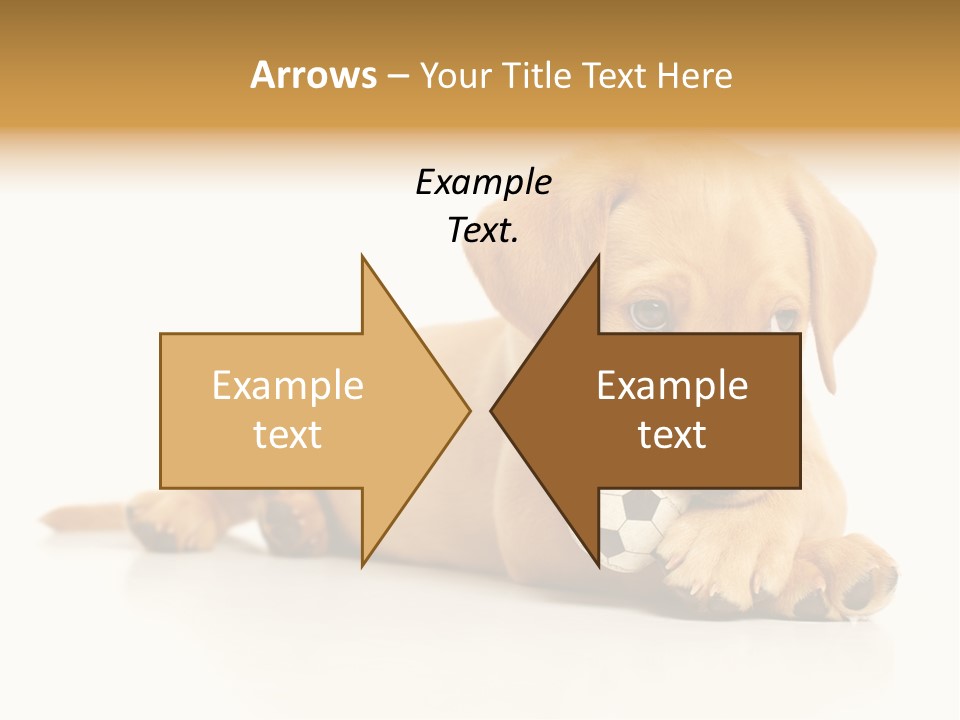 A Puppy Holding A Soccer Ball In His Mouth PowerPoint Template