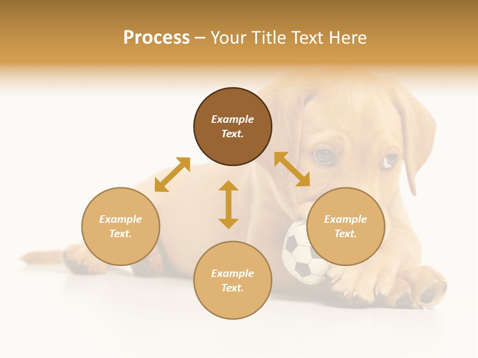 A Puppy Holding A Soccer Ball In His Mouth PowerPoint Template