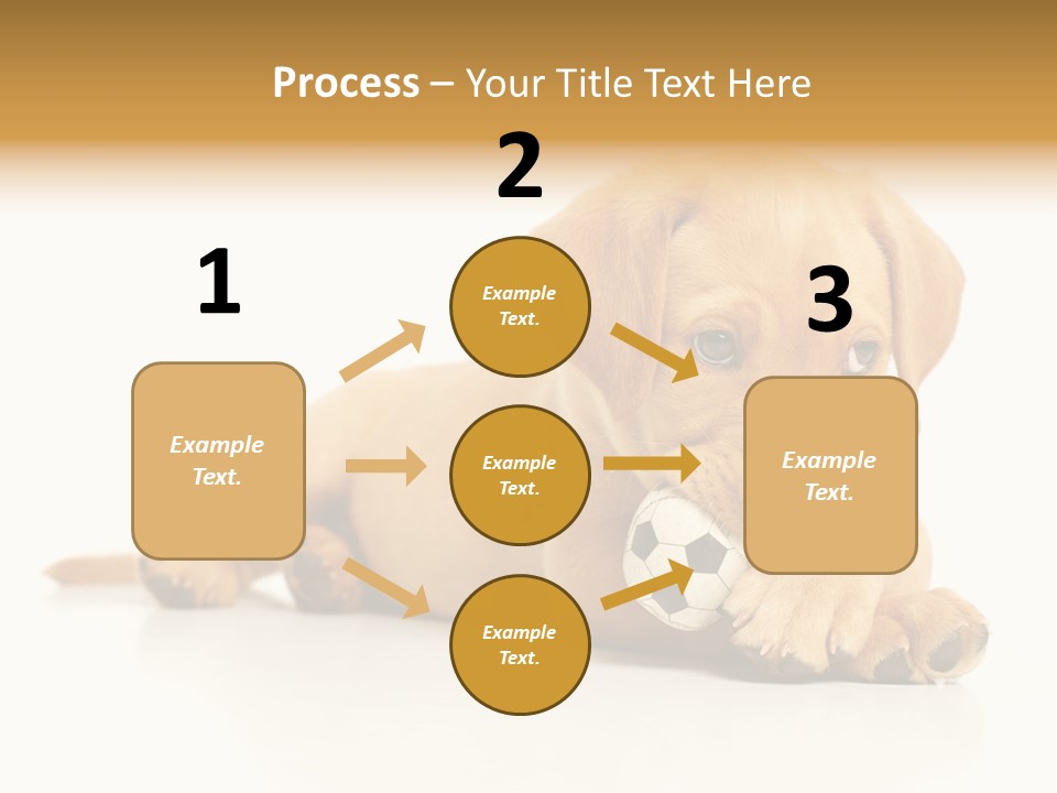 A Puppy Holding A Soccer Ball In His Mouth PowerPoint Template