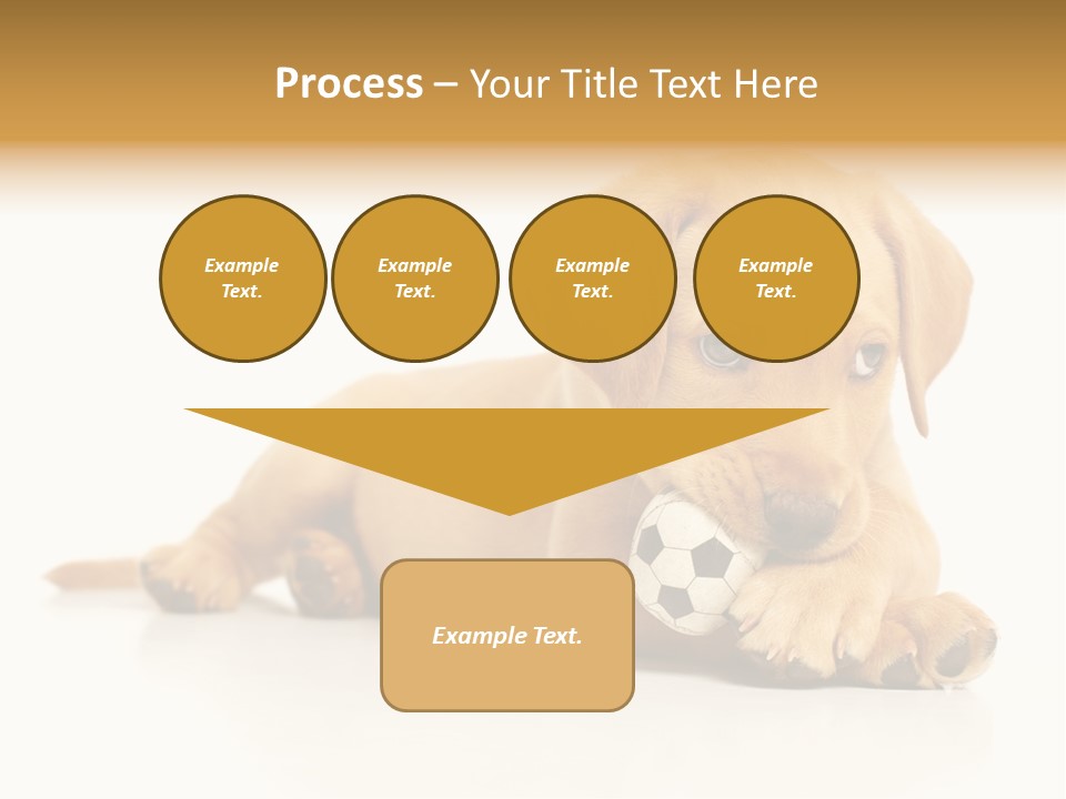 A Puppy Holding A Soccer Ball In His Mouth PowerPoint Template