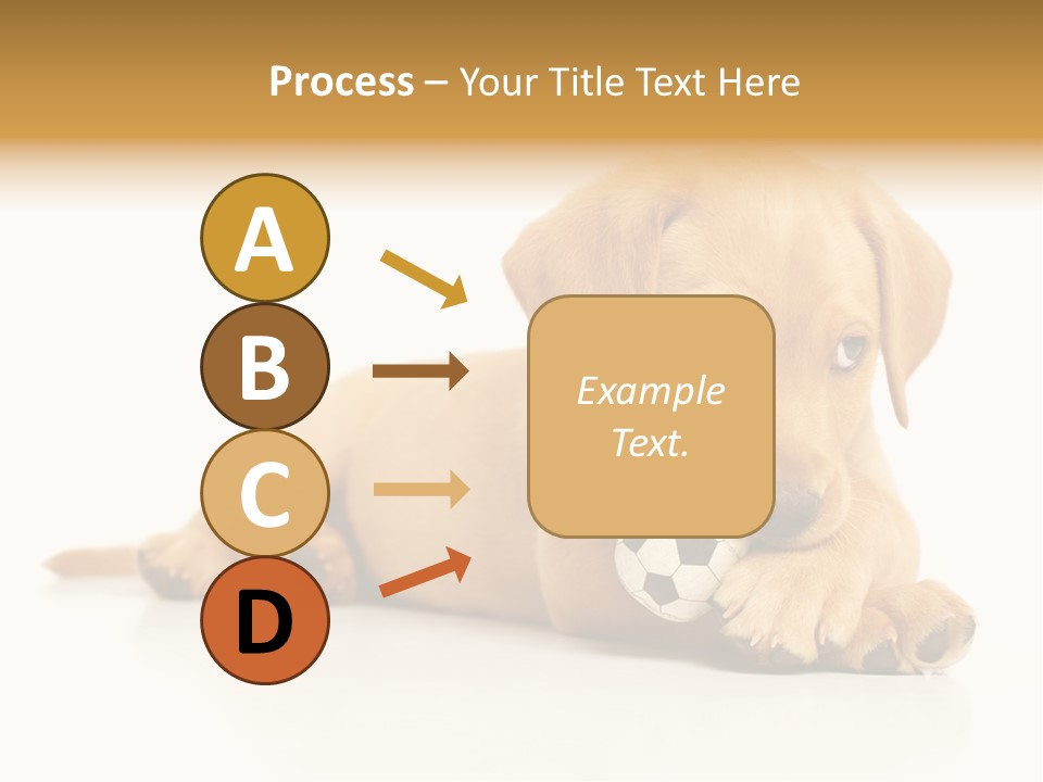 A Puppy Holding A Soccer Ball In His Mouth PowerPoint Template