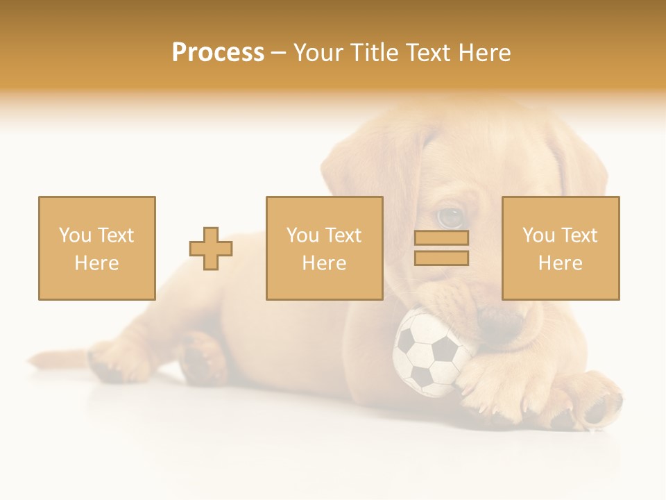 A Puppy Holding A Soccer Ball In His Mouth PowerPoint Template