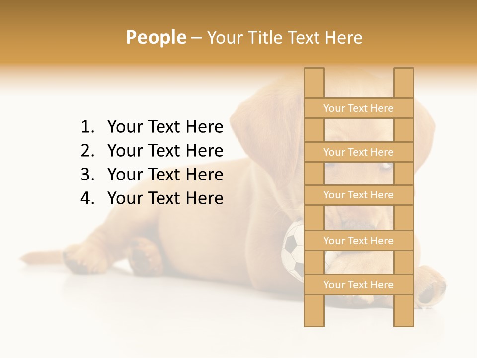 A Puppy Holding A Soccer Ball In His Mouth PowerPoint Template