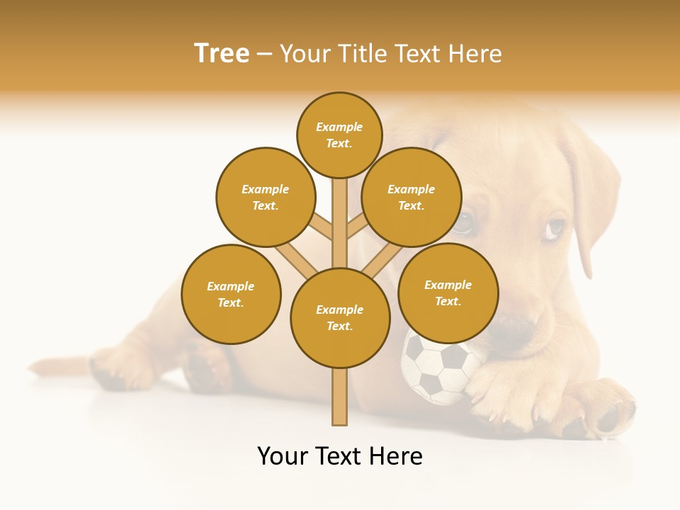 A Puppy Holding A Soccer Ball In His Mouth PowerPoint Template