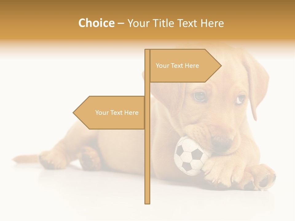 A Puppy Holding A Soccer Ball In His Mouth PowerPoint Template