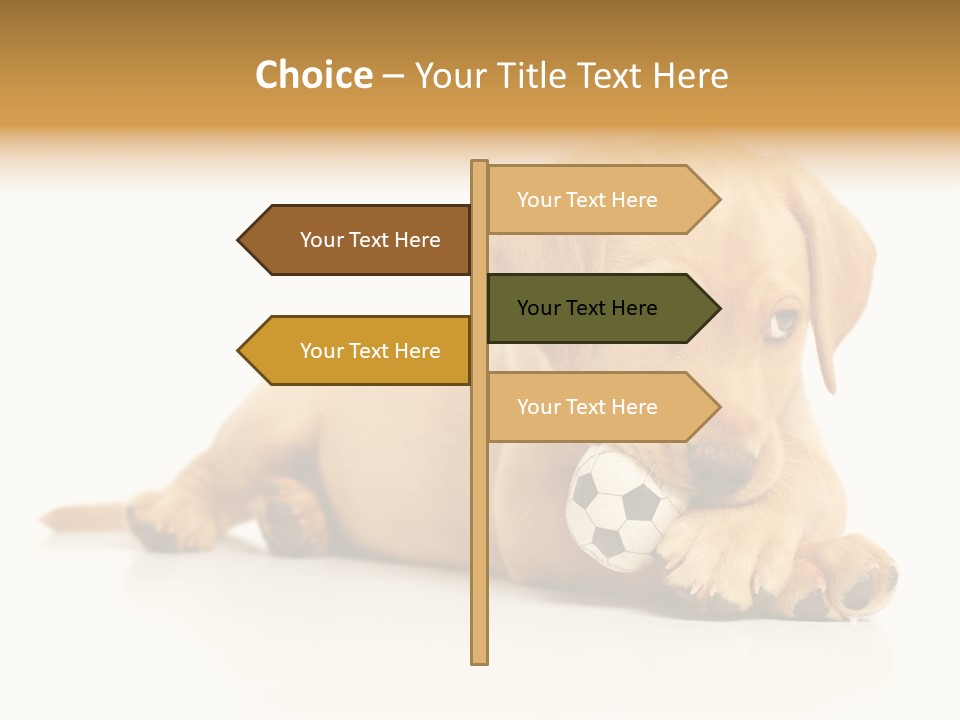A Puppy Holding A Soccer Ball In His Mouth PowerPoint Template