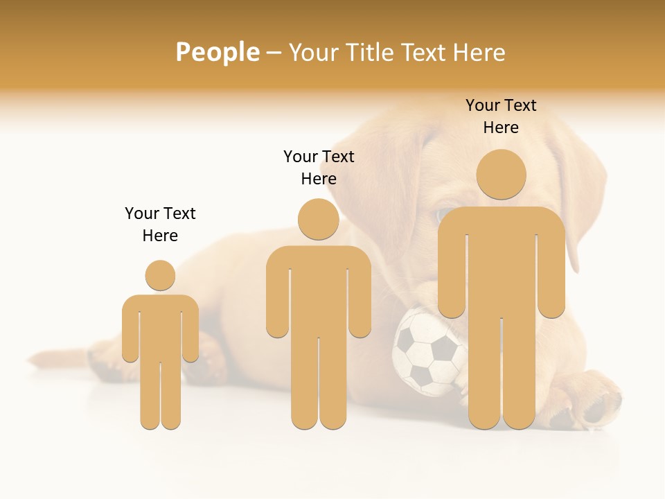 A Puppy Holding A Soccer Ball In His Mouth PowerPoint Template