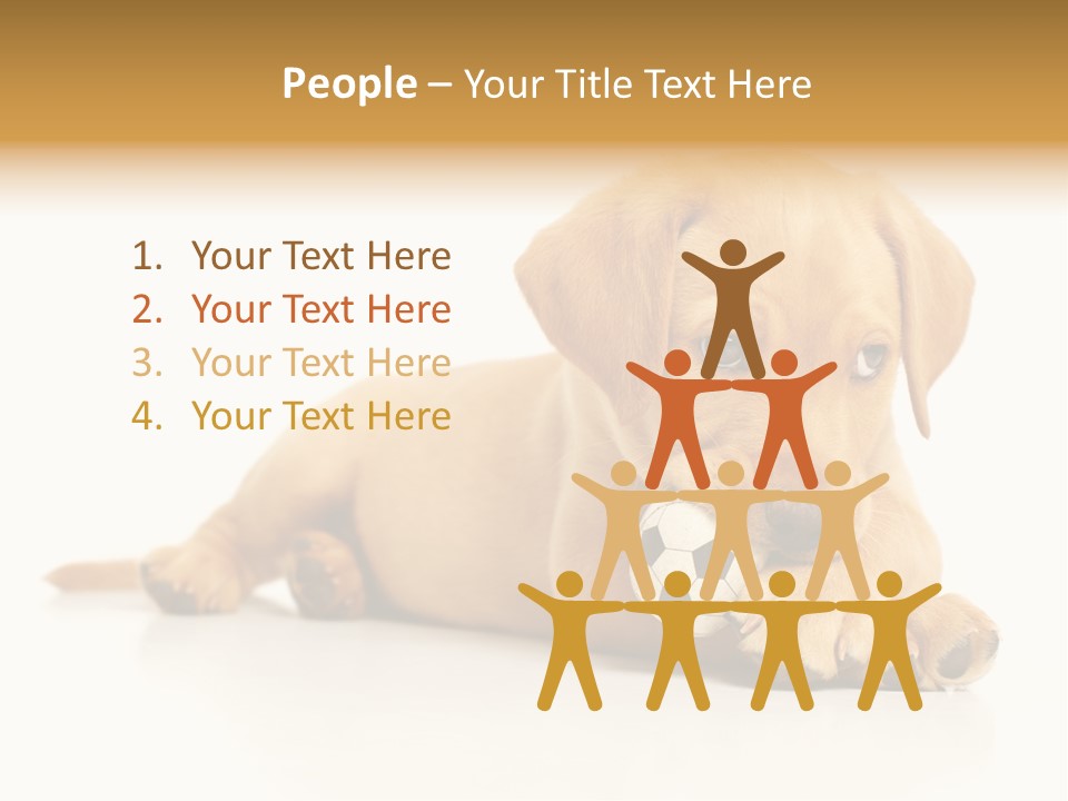 A Puppy Holding A Soccer Ball In His Mouth PowerPoint Template