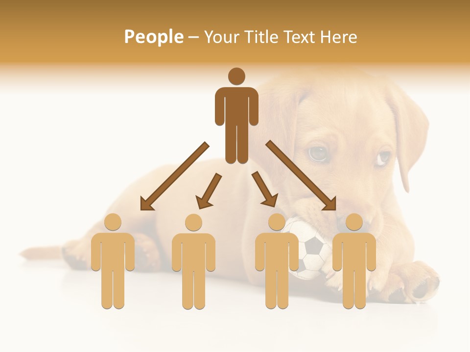 A Puppy Holding A Soccer Ball In His Mouth PowerPoint Template