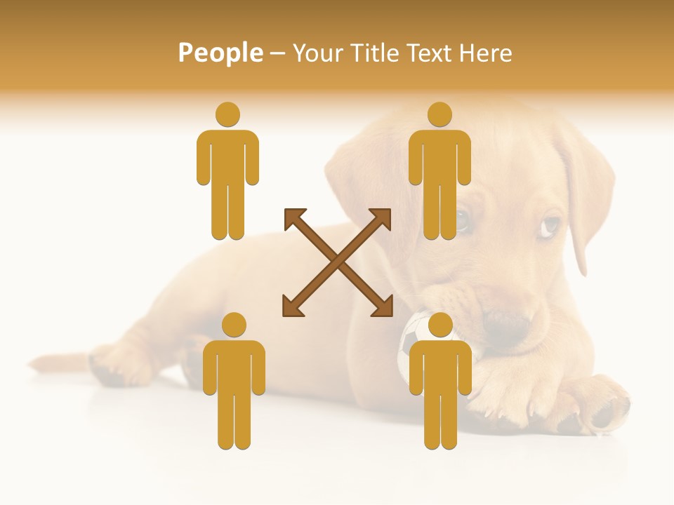 A Puppy Holding A Soccer Ball In His Mouth PowerPoint Template