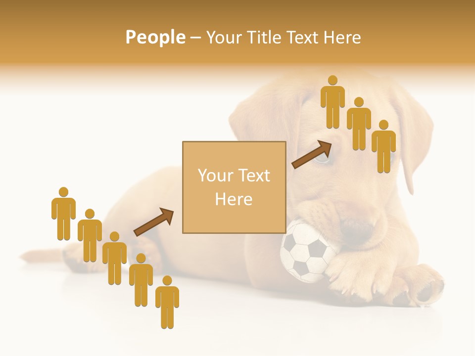 A Puppy Holding A Soccer Ball In His Mouth PowerPoint Template