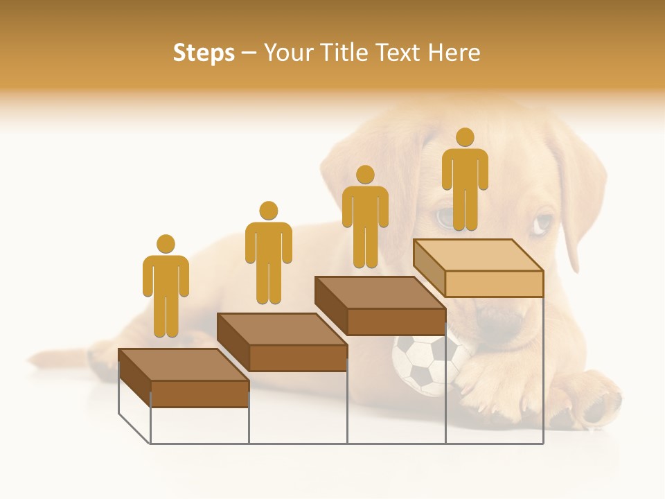 A Puppy Holding A Soccer Ball In His Mouth PowerPoint Template
