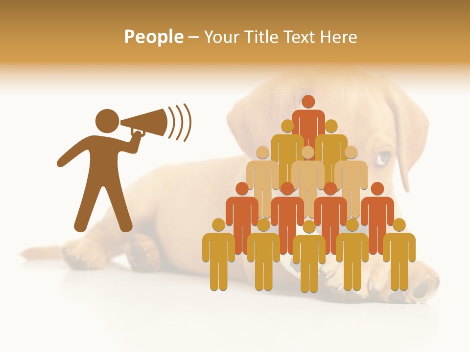 A Puppy Holding A Soccer Ball In His Mouth PowerPoint Template