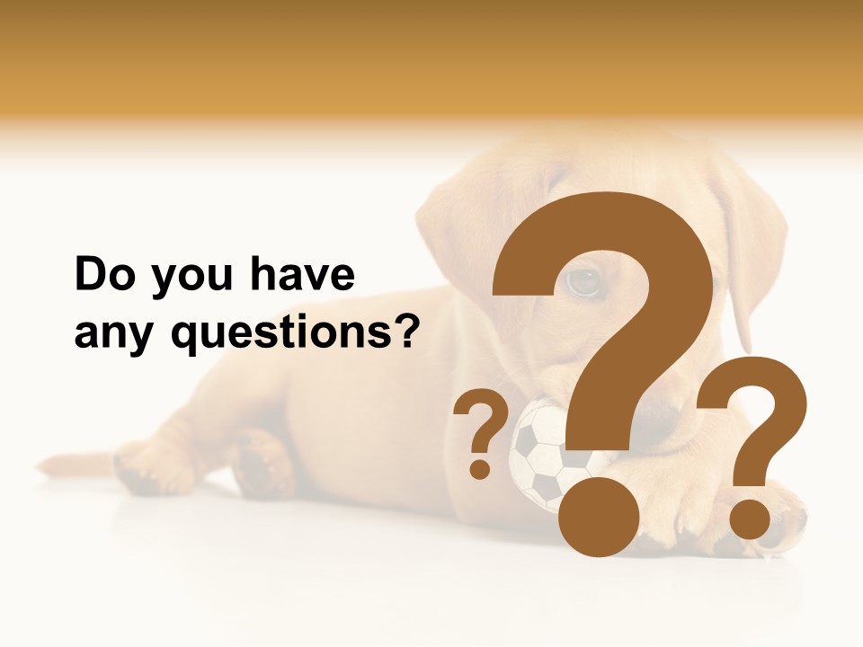 A Puppy Holding A Soccer Ball In His Mouth PowerPoint Template