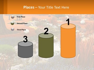 A Picture Of A Garden With Rocks And Plants PowerPoint Template