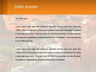 A Picture Of A Garden With Rocks And Plants PowerPoint Template