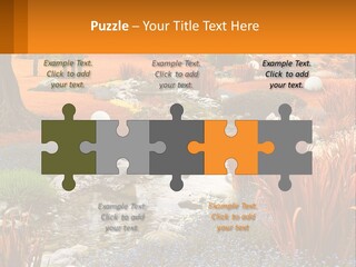 A Picture Of A Garden With Rocks And Plants PowerPoint Template