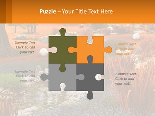 A Picture Of A Garden With Rocks And Plants PowerPoint Template
