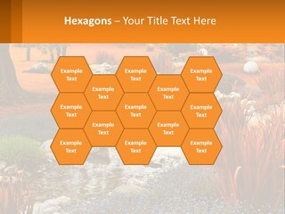 A Picture Of A Garden With Rocks And Plants PowerPoint Template
