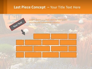 A Picture Of A Garden With Rocks And Plants PowerPoint Template