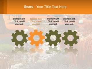 A Picture Of A Garden With Rocks And Plants PowerPoint Template