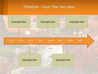 A Picture Of A Garden With Rocks And Plants PowerPoint Template
