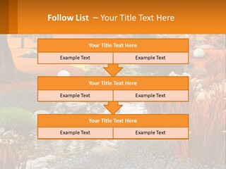 A Picture Of A Garden With Rocks And Plants PowerPoint Template