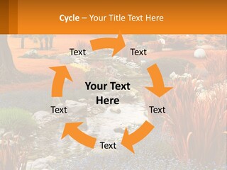 A Picture Of A Garden With Rocks And Plants PowerPoint Template