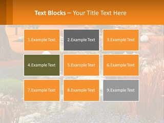 A Picture Of A Garden With Rocks And Plants PowerPoint Template