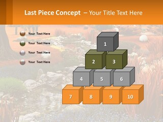 A Picture Of A Garden With Rocks And Plants PowerPoint Template