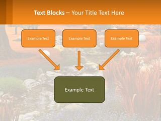 A Picture Of A Garden With Rocks And Plants PowerPoint Template