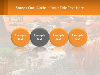 A Picture Of A Garden With Rocks And Plants PowerPoint Template
