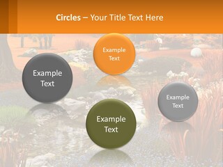 A Picture Of A Garden With Rocks And Plants PowerPoint Template