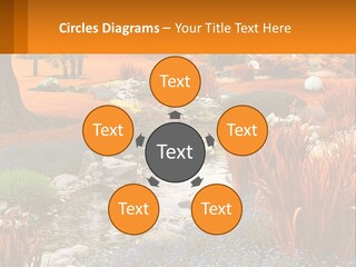 A Picture Of A Garden With Rocks And Plants PowerPoint Template