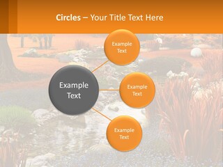 A Picture Of A Garden With Rocks And Plants PowerPoint Template