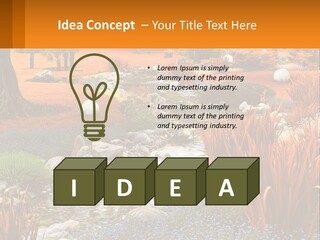 A Picture Of A Garden With Rocks And Plants PowerPoint Template