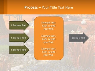 A Picture Of A Garden With Rocks And Plants PowerPoint Template