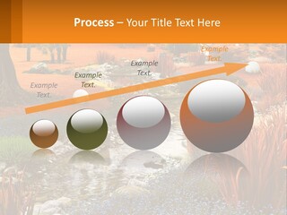 A Picture Of A Garden With Rocks And Plants PowerPoint Template