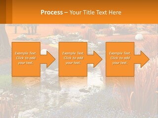 A Picture Of A Garden With Rocks And Plants PowerPoint Template