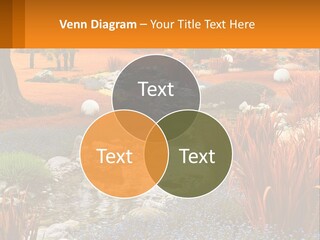 A Picture Of A Garden With Rocks And Plants PowerPoint Template
