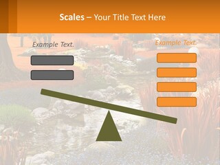 A Picture Of A Garden With Rocks And Plants PowerPoint Template