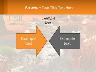 A Picture Of A Garden With Rocks And Plants PowerPoint Template