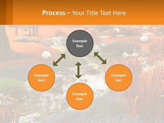 A Picture Of A Garden With Rocks And Plants PowerPoint Template