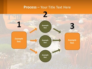 A Picture Of A Garden With Rocks And Plants PowerPoint Template
