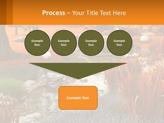 A Picture Of A Garden With Rocks And Plants PowerPoint Template
