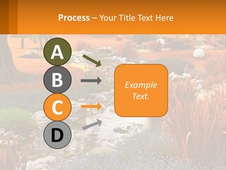 A Picture Of A Garden With Rocks And Plants PowerPoint Template