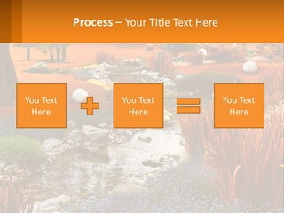 A Picture Of A Garden With Rocks And Plants PowerPoint Template